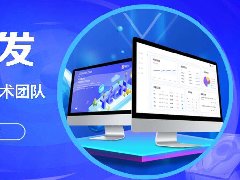 模板和定制商城APP開發(fā)費(fèi)用需要多少錢？