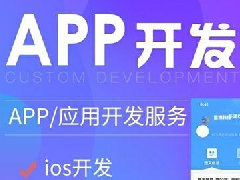 APP軟件開(kāi)發(fā)服務(wù)概覽